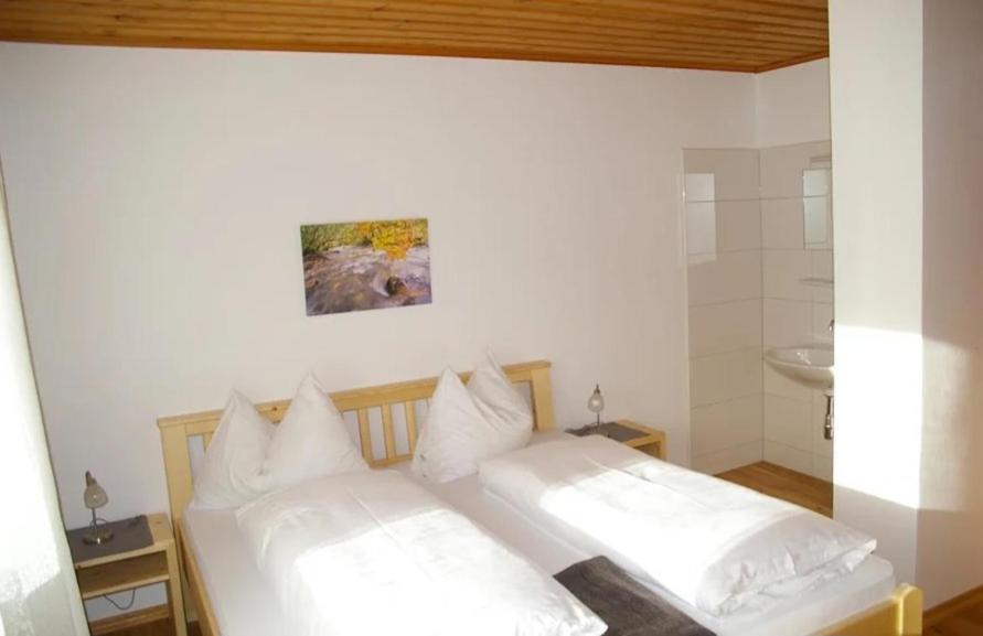 Haus Brigitte Rettensteiner Schladming Extérieur photo